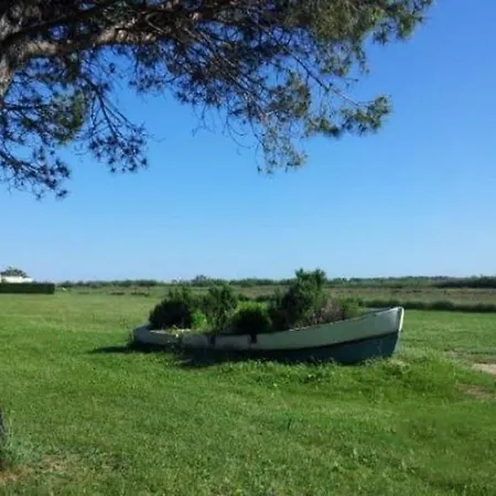 Gc - Confort Et Detente, 3 Ch, 2 Sdb, Au Calme, Sur Parcelle Arboree Campingplads Lattes