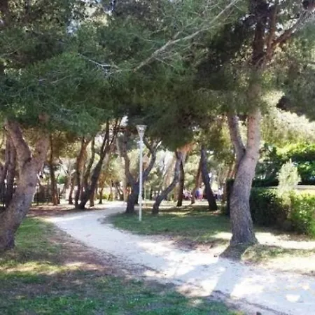 Gc - Confort Et Détente, 3 Ch, 2 Sdb, Au Calme, Sur Parcelle Arborée *