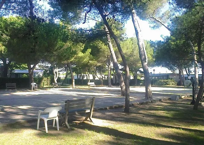 Parque de Campismo Gc - Confort Et Detente, 3 Ch, 2 Sdb, Au Calme, Sur Parcelle Arboree *